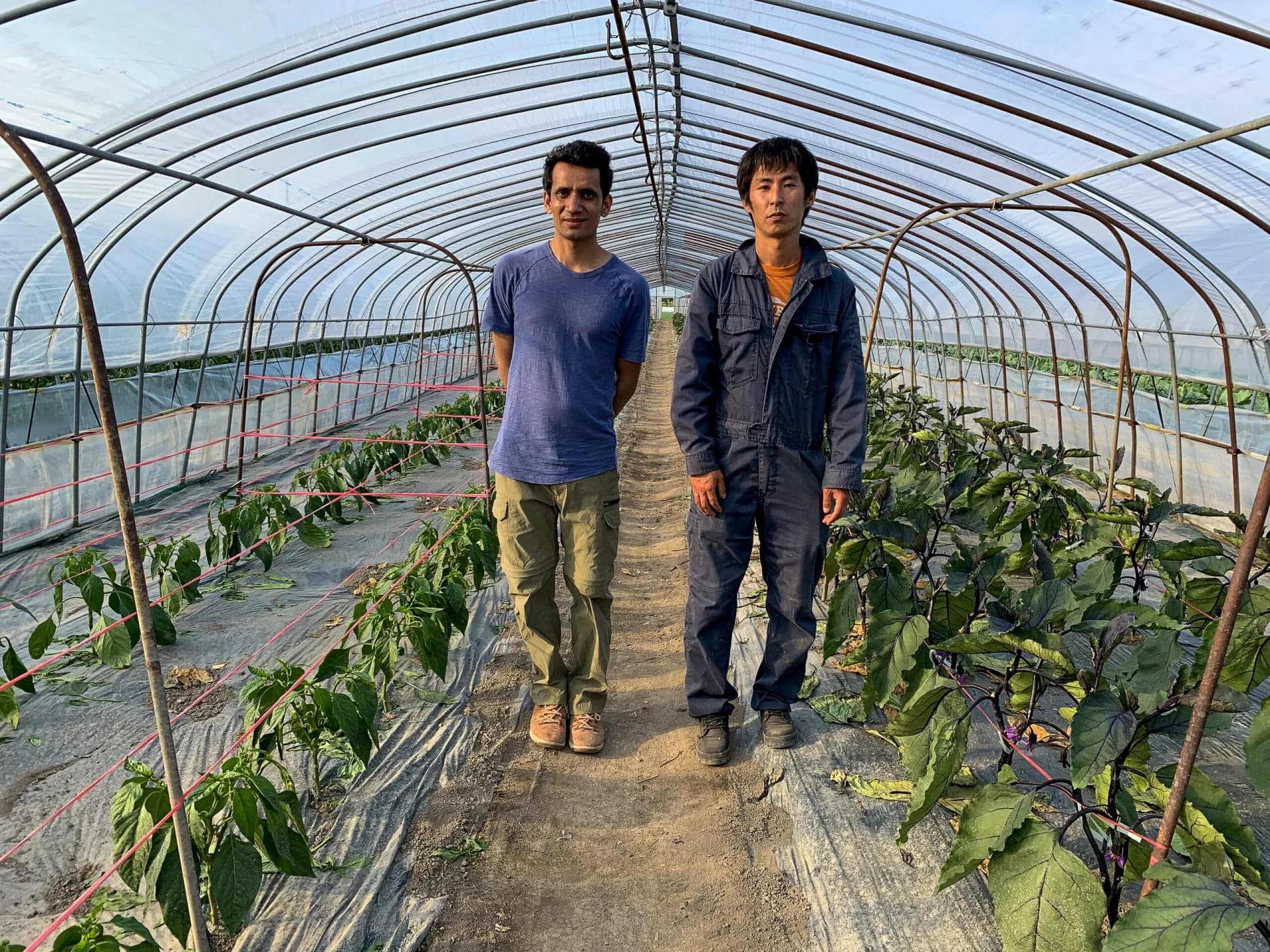 新鮮な旬の野菜